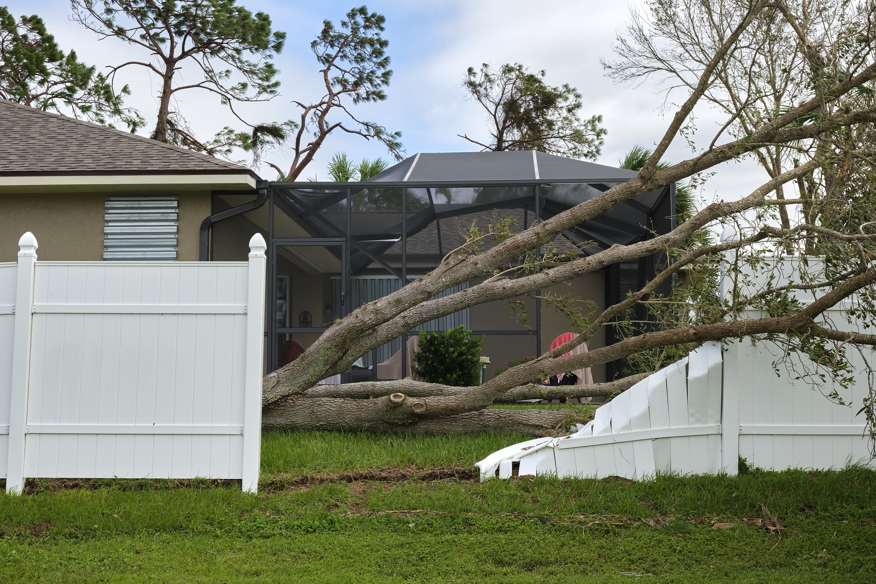 Fence Repair: 4 Signs Your Fence May Need Some TLC