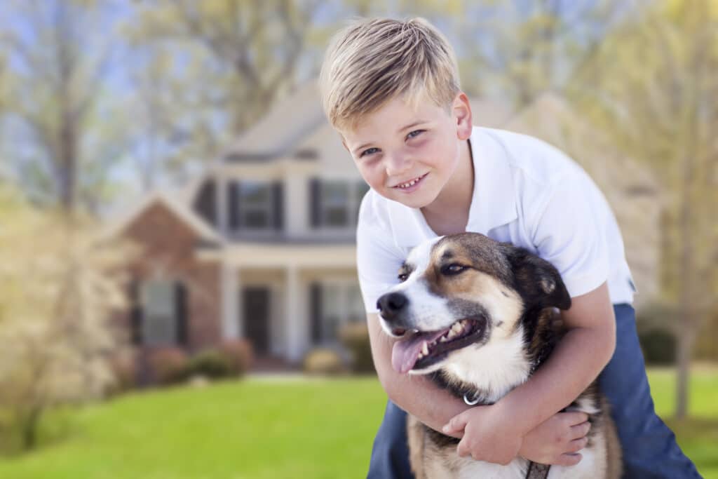 Amerifence Indianapolis Pet Friendly Outdoor Space Fence Installation